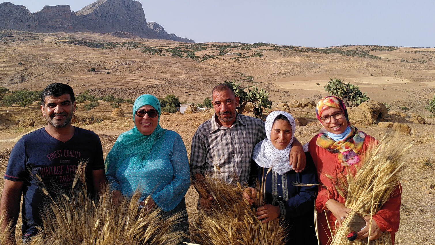 Producteurs coriandre - coop SMAC Lella Kmar el Baya en Tunisie